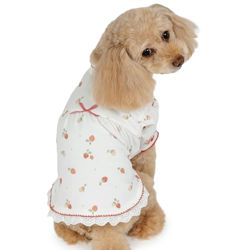 ybgp_CX   gbvX ~  yeBq[g TVc ۉ g h h΍ Ci[  y M Lk uh JWA  킢   ₷ zCg ^ yQl 4S ` 