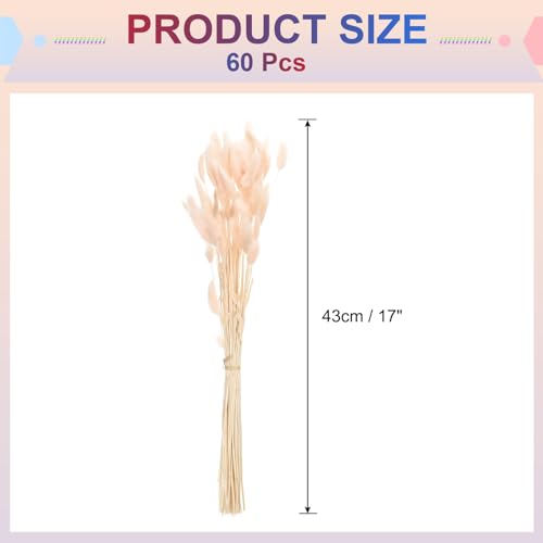 Mini herbe de pampa rose clair bouquet queue de lapin fleurs séchées - 3