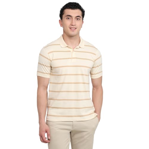 Image of Raymond Men Modern Fit Stripe Pattern Pure Cotton Polo Neck Half Sleeve Casual T-Shirt