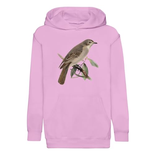 Sweat oiseau perché enfant motif biologie vintage, un cadeau artistique original