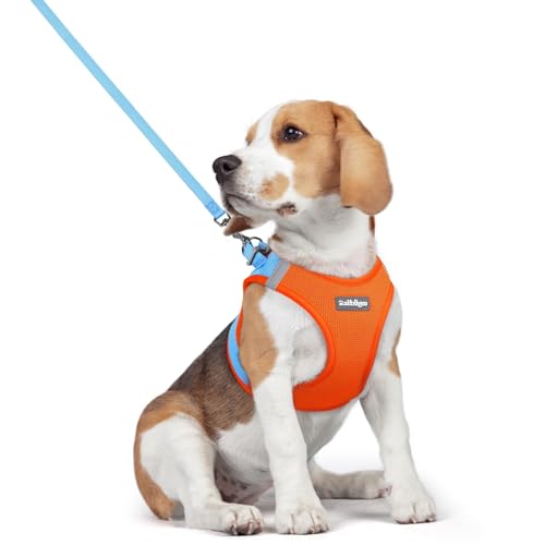 rabbitgoo Step-In Harness & Leash Set (Blue & Orange, L)