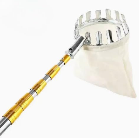 t[csbJ[ t[cRN^[ Lknht Tufduzo \ȃt[csbLOc[ pIȎn⏕ `AAA񂲁A~A}S[AxCx[p ^thD] (3m/9.8ft,CG[)