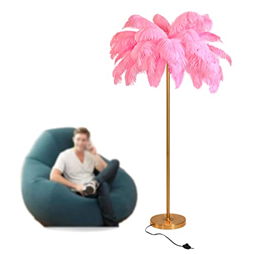 Lampada piume di struzzo, lampada da terra oro con piuma bianca rosa blu Luce dimmerabile adatta per regalo alla figlia adatta per camera da letto e soggiorno (pink1