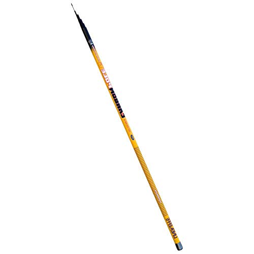 Lineaeffe Carbon Bolo 6 m up to 25 g Canne Bolognaise Pêche au Coup Télescopique Mer Rivière