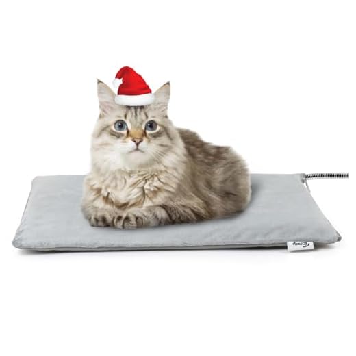 Toozey Outdoor Heizdecke Haustier mit Wasserdicht Abdeckung und Kaubeständigem Kabel, Automatische Temperaturregelung für Neugeborene, Schwanger, Alte, Gelenke Verletzt Katzen und Hunde, 40x50cm