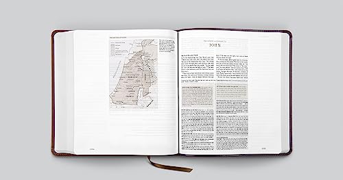 ESV Journaling Study Bible (Trutone, Brown/Chestnut, Timeless Design): English Standard Version, Bro