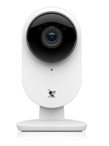 Yi Cloud Storage Yi IoT App IP Camera Wireless Home Security IP Camera