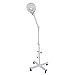 ZENY LED Floor Lamp with Magnifying Glass and Light Magnifier Light with Stand Adjustable Swivel Arm for Facial Care, Reading Crafting Sewing Esthetician Light
