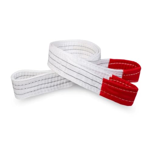 Durable Lifting Strap Flat Lifting Belt Industrial Lifting Straps Crane Belt Nylon Suspension Rope Tool Sling 5 tons, 10 tons, 1-10 Meters (Color : 10T, Size : 1M)