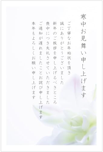 nKL r^Cv 10 p͂ CNWFbgΉ At@vgT[rXqS-KCM309 Sr