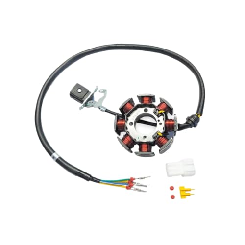 Stator Coil Assy Rotor Magnetic Cylinder Overrunning Clutch Ignition Compatible with YBS300 YB300H YB250R Engine(Stator Coil)