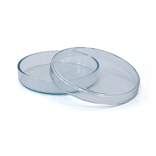 25 x Petrischale 120x20mm aus Kalk-Soda-Glas ohne Nocken - bis 135°C im Autoklaven sterilisierbar - Petrischalen, Kulturschale, Agar Agar Schale, Zellkulturschale, Kulturschalen, Agar Agar Schalen, Zellkulturschalen