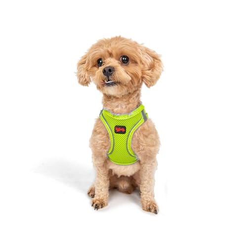 TAİLPETZ AM - HUNDEGESCHIRR (3XS, Neon-Limette)