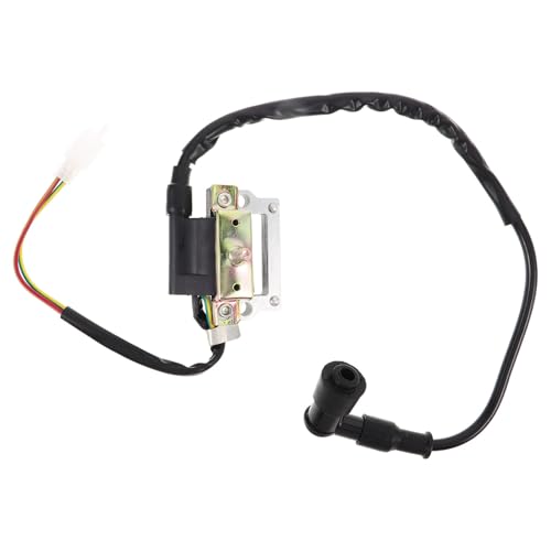 Bobina de encendido de 50cc PRETYZOOM para rutas sin interrupciones en cuatrimoto