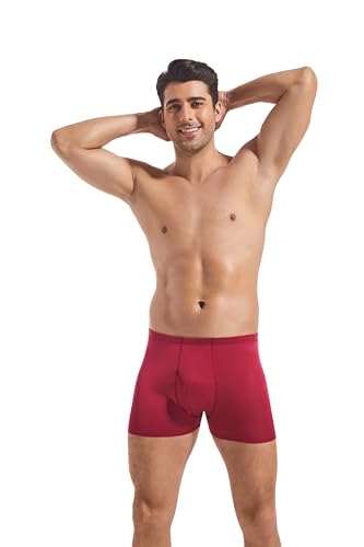 HOUDE Men's silk knitted boxer briefs, luxurious and comfortable, lightweight and breathable, 2 Pack2