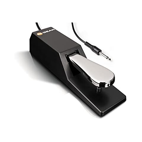 M-Audio SP-2 - Universal Sustain Pedal with Piano Style Action, The Ideal Accessory for MIDI Keyboards, Digital Pianos, Electronic Keyboards & More Cover