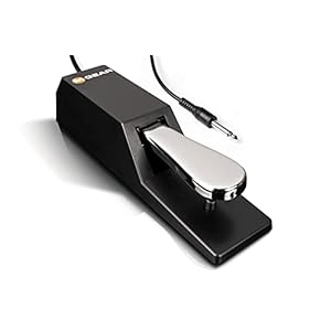 M-Audio SP-2 – Universal Sustain Pedal with Piano Style Action, The Ideal Accessory for MIDI Keyboards, Digital Pianos…