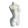 Nude Naked Lady Torso Abstract Home Decor Art (Marble Stone Look)