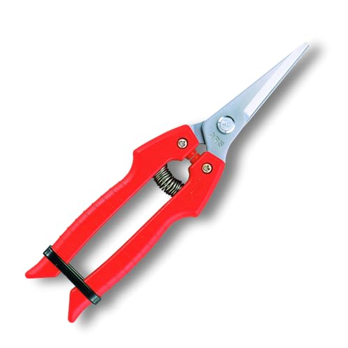 Best Needle Nose Pruners