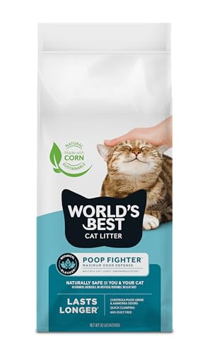 Does cat pee always smell