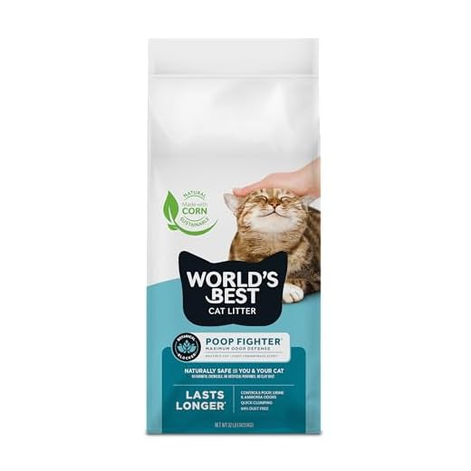 World's Best Cat Litter for Odor Control