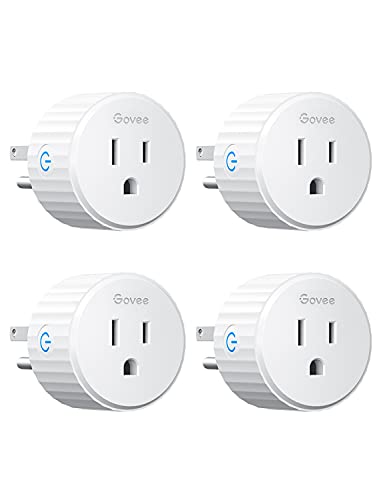Govee Smart Plug main view