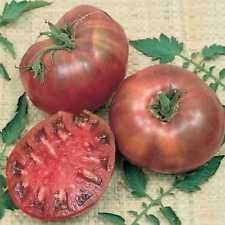 Semillas Cherokee Purple Tomate, de la herencia, no GMO, variedad de tamaños, (50)