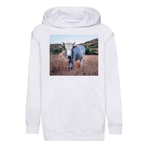 Sweat à capuche enfant vache grise finition premium Fabulous Hoodie