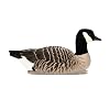 Avian X Topflight Lessers Floating Goose Hunting Decoys with True to Life Postures for Hunting Purposes, Outdoor Sports, and Recreation