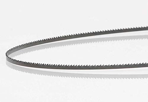 Timber Wolf Bandsaw Blade 1/8