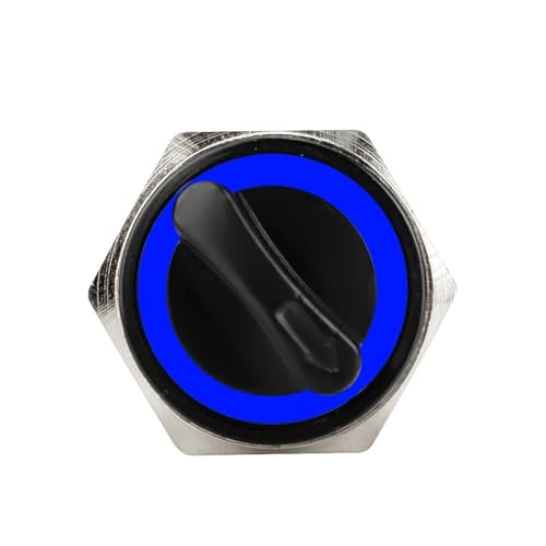 Bouton interrupteur DPDT 19mm 220V en acier inoxydable à LED bleue pour finition premium