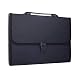 DeLi 13-Pockets Poly Expanding File Folder with Portable-Handle, Letter Size/A4,13.18x9.64"(Black)