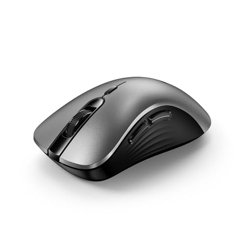 Genius Souris : Ergo 8100S AI Souris Ergonomique silencieuse sans Fil Argenté
