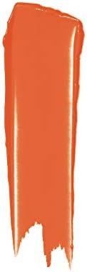 SOULTREE Ayurvedic Lipstick - Rich Earth 777 (4 Gram) - Image 5