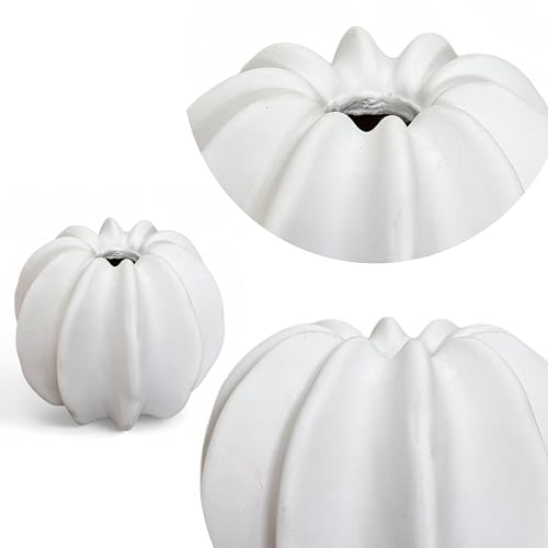 Image of Art Street White Sea Urchin Vase for Flowers|Decorative Flower Pot Vase| for Home, Wedding Decoration|Living Room, Bedroom and Office, New Year, Christmas Decor| (Only Vase) (Size: 5x5 Inch)