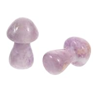 キノコの石 Amazon.co.jp: Levemolo 2個入り キノコ型 石の装飾品 ストーン