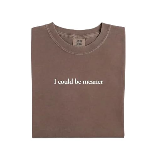 THE CEO I Could Be Meaner T-Shirt, Comfort Colors Tee for Men and Women