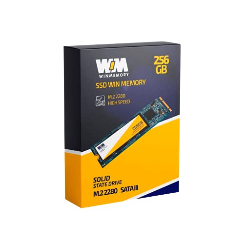 Hd Ssd M.2 Winmemory 256gb Sata 3