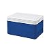 Igloo Corporation 43691 Legend 6, 6 Can Capacity, 5 Qt Cooler