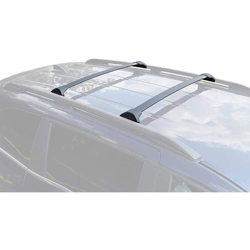 Barres de toit Odyssey 2018-2023 pour installer un coffre de voyage familial