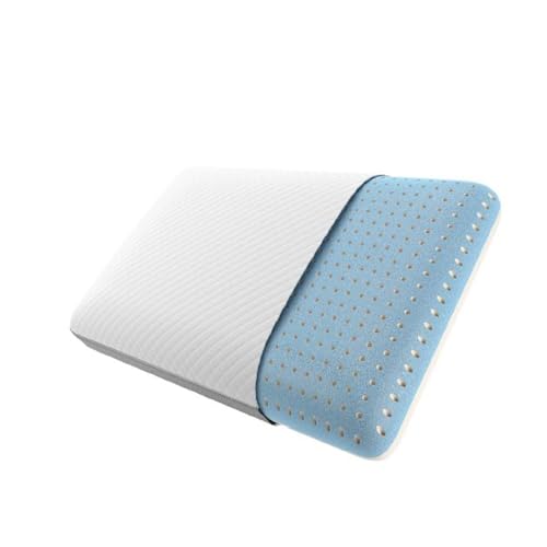 Beautyrest Absolute Relaxation Pillow - Standard...