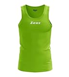 ZEUS VESTE GLI DEI
