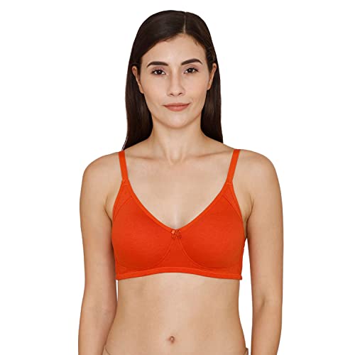 Image of Zivame Women's Cotton Non Padded Wire Free 3 /4Th Coverage Seamless T-Shirt Bra