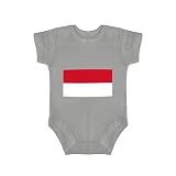 Yelolyio Indonesië Nationale Vlag Katoenen Baby Bodysuit Leuke Baby Romper, Indonesië eendelige baby baby romper, zwart, 3 maanden, Grijs, 6 maanden