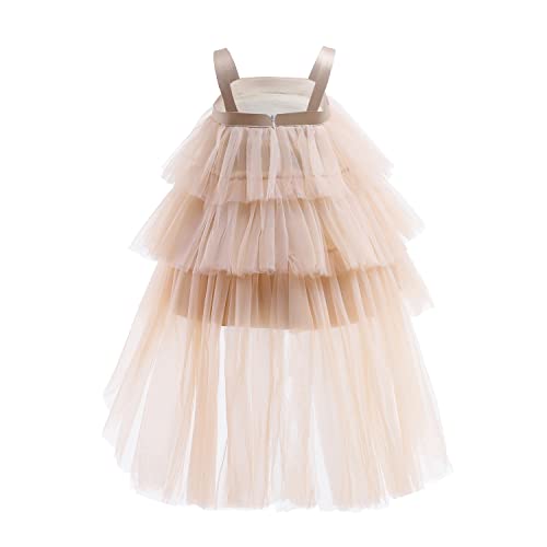 Flower Baby Girl Dress Toddler Party Lace Tulle Tutu Princess Pageant Formal Birthday Special Occasion (4Y Ivory) #TOP3