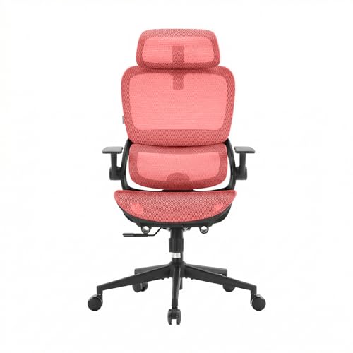 SIHOO B100 Ergonomic Office Chair, Comfy Desk Chair with Adaptive Dynamic Lumbar Support, Computer Chair with Extra Wide Headrest, Flip-Up Armrests, 90-135° Tilt Lock and Breathable Mesh Cus