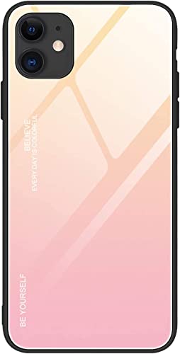 Coque arrière iPhone 12 Pro Max en verre dégradé couleur F protection mince