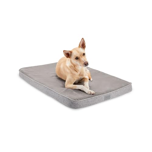 Snooz Memory Foam Dog Bed for Revol kennels