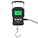 dianzicheng Scala Digitale di pesatura Elettronica LCD 75. kg 10G Bilancia for Bagagli Scala for Pesca a impennata con Nastro Adesivo di misurazione (Color : Black)