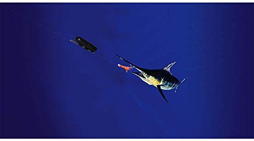 GoFish Cam Wireless Underwater Fishing Camera, Black